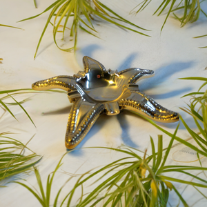 Großer, maritimer Aschenbecher aus massiv Messing 17 cm- 510 g- Seestern